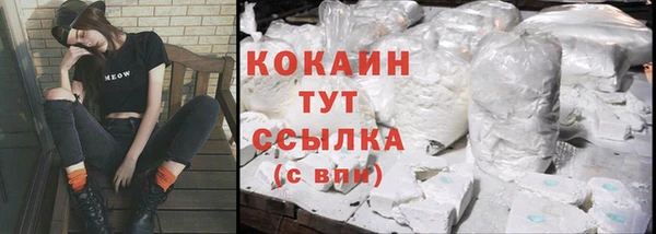 спайс Алзамай