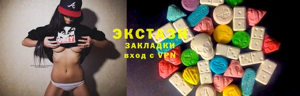 гашик Алексин