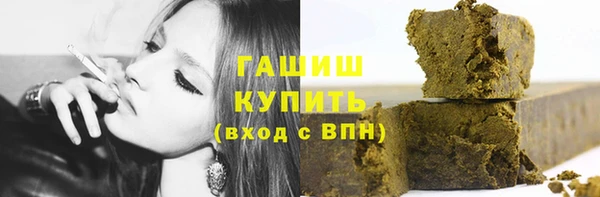 гашик Алексин