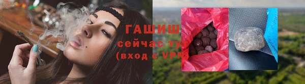 гашик Алексин