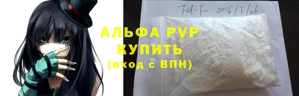 гашик Алексин