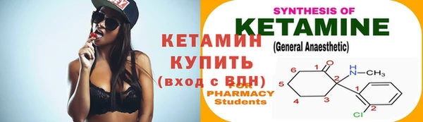 гашик Алексин