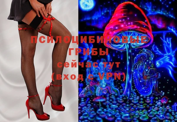 спайс Алзамай