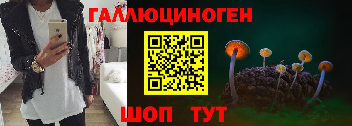 Петрозаводск  Галлюциногенные грибы мицелий  Вход с VPN  Псилоцибиновые грибы прущие грибы 