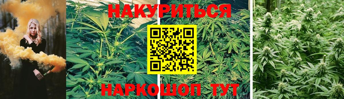 Конопля LSD WEED  МАРИХУАНА VHQ  Вход с VPN  МАРИХУАНА семена  Петрозаводск  МАРИХУАНА Ganja 